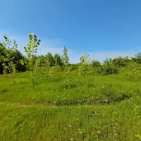 ویلاباغ با کانکس۲خواب ۵کیلومتری دریای زیباکنار|فروش زمین و ملک کلنگی|خشکبیجار, |دیوار