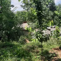 فروش زمین درشمال جاده کلاردشت