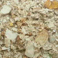 نان خشک