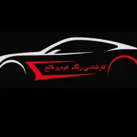 کارشناسی رنگ و فنی خودرو فاتح ( کل مناطق تهران )
