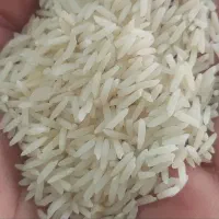 برنج هاشمی دره رود|خوردنی و آشامیدنی|قشلاق دشت, |دیوار