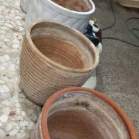 تعدادی گلدان سفال همراه باکس گل|گل و گیاه طبیعی|شیراز, شریف‌آباد|دیوار