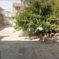 رهن و اجاره منزل دربست|اجارهٔ خانه و ویلا|مرودشت, بیست متری بیمارستان|دیوار