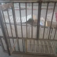 پنجره 1/4 در 1/4 جا کولر گازی دار