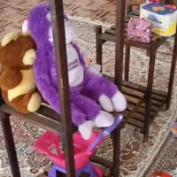 سالم بدون ایراد