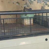 باربند کفی مبلی