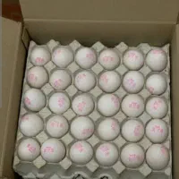 تخم مرغ عمده 10کارتن به بالا