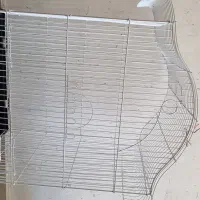 قفس پرنده