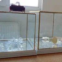 باکس بله برون