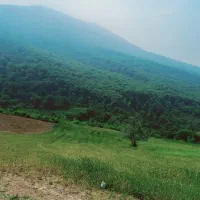 راننده پایه یکم