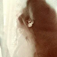 عکاسی و فیلمبرداری
