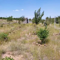 فروش ومعاوضه زمین ویلایی ۴۵۳متر مزرعه|فروش زمین و ملک کلنگی|صوفیان, |دیوار