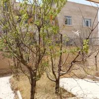 خانه ویلایی ۲ طبقه مجزا در شهر جدید هشتگرد|فروش خانه و ویلا|هشتگرد, فاز ۲ مهستان|دیوار