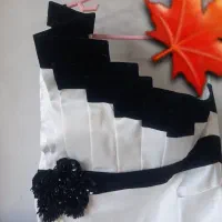 لباس مجلسی (فقط یکبار پوشیده شده)|لباس|تنکابن, |دیوار