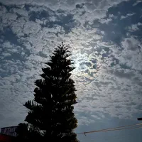 نیازمند سرایدار