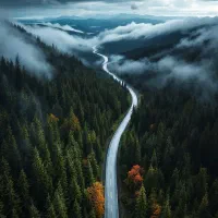 پارتنر برای پیاده روی