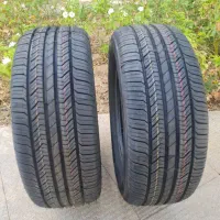 دوحلقه لاستیک بارز 14×60×205|قطعات یدکی و لوازم جانبی|شیراز, معالی‌آباد|دیوار