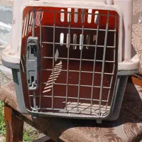 قفس و پارک گربه و سگ