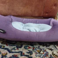 جای خواب پت