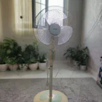 پنکه