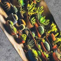 نمگیرسه بعدی