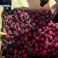 تکدانه|خوردنی و آشامیدنی|کرج, کلاک نو|دیوار