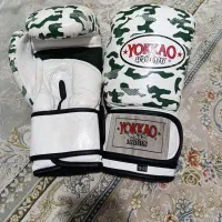 دستکش بوکس و کیک بوکسینگ