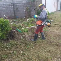 هرس باغ و زمین و سیفتینگ،کنده کاری|خدمات باغبانی و درختکاری|رودبنه, |دیوار