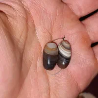 ۳ جفت مهره سلیمانی.جزع و...