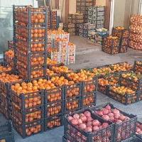 استخدام کارگر ساده