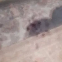 لوازم.میفروشم.بدلیل.جداشدن