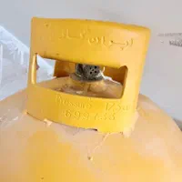 کپسول گاز در حد نو|اجاق گاز و لوازم برقی پختوپز|شاهینشهر, فدک|دیوار