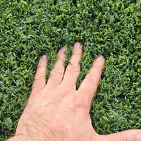 چمن مصنوعی دست دوم فوتبالی +خارجی کارکرده و استوک|گل مصنوعی|تهران, فلسطین (میدان انقلاب)|دیوار