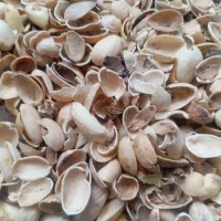 خریدار پوست پسته و پوک