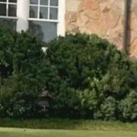 نظافت منزل درخدمتم