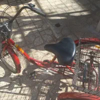 سه چرخه بزرگسال (آلبالویی رنگ)