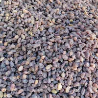 کشمش آفتابی تمیز شده درجه یک|خوردنی و آشامیدنی|بوانات, |دیوار