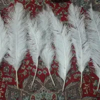 پر علامت ب رنگ سفید