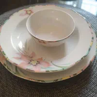 چینی آلمانی باواریا (اصل)|ظروف سرو و پذیرایی|کرج, گلشهر|دیوار