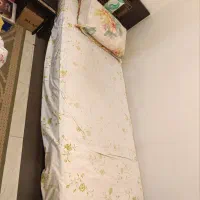 تخت یک نفره همراه با تشک