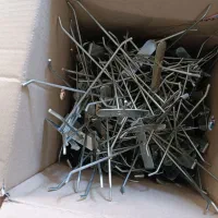 طوری رگال و شاخک