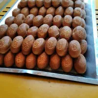 به یک فروشنده در دلیمانجو بوستان نیازمندیم