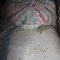 یونجه|حیوانات مزرعه|ازنا, |دیوار