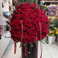 شاخه گل رز هلندی با کیفیت از ۳۰ تا ۵۵