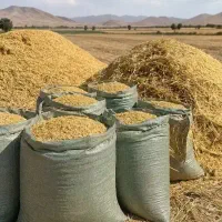 فروش کاه ارزن