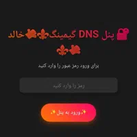 پنل DNS