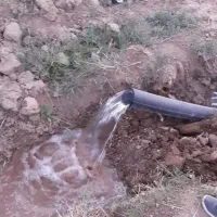 1000 متر باغچه پسته روستای شادات بوئین زهرا|فروش دفتر صنعتی، کشاورزی، تجاری|بوئین زهرا, |دیوار