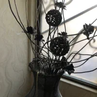 آباژور کنار سالنی