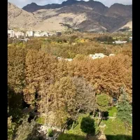 بهشت ایران.6پنجره بانهایت افتاب وانرژی.زندگی واقعی|اجارهٔ آپارتمان|تهران, شهران شمالی|دیوار