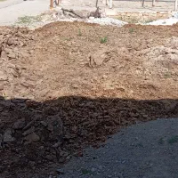 کود حیوانی گاو و گوسفند